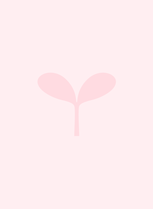 alice†叶わない恋†