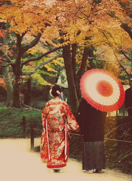 軍医と傷読みの花嫁　～閉じこもり薬師は、傷もちの旦那様に愛される〜