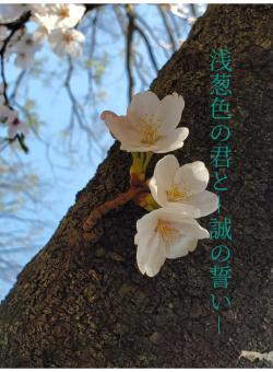 浅葱色の君と-誠の誓い-