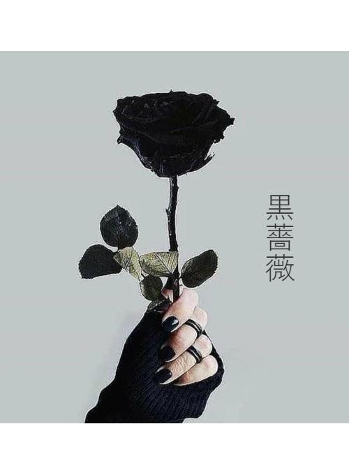 黒薔薇 の作品一覧 人気順 小説サイト ベリーズカフェ