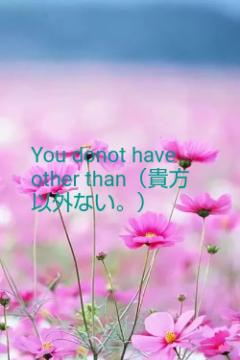 You donot have other than（貴方以外ない。）