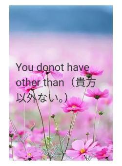 You donot have other than（貴方以外ない。）