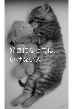 好きになっては‥‥いけない人