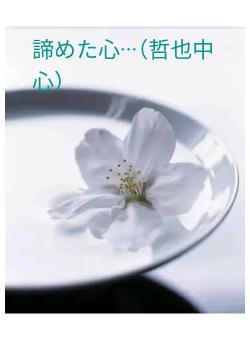 諦めた心···（哲也中心）