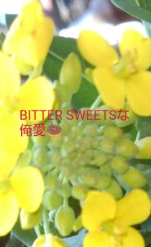 BITTER SWEETSな俺愛🍩