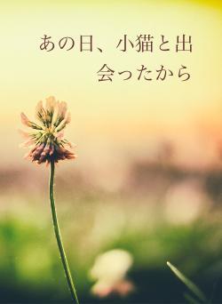 あの日、小猫と出会ったから
