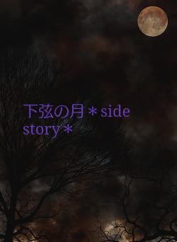 下弦の月＊side story＊