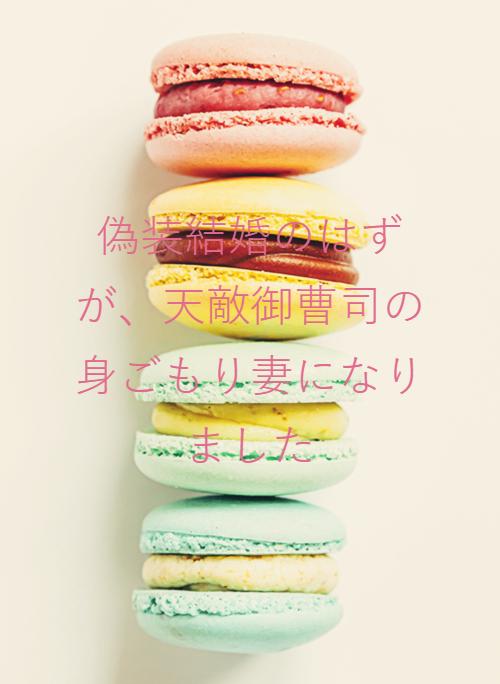 お前は俺の運命だから 大嫌いな御曹司と結婚生活始めます 小説サイト ベリーズカフェ