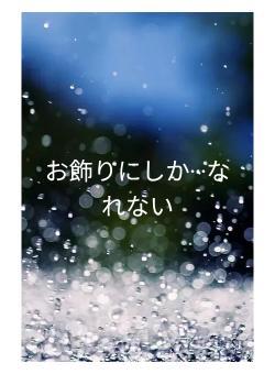 お飾りにしか⋅⋅⋅なれない
