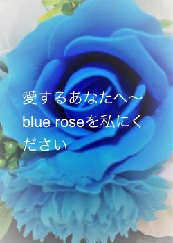 愛するあなたへ〜blue roseを私にください