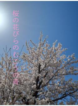 桜の花びらのむこうの青