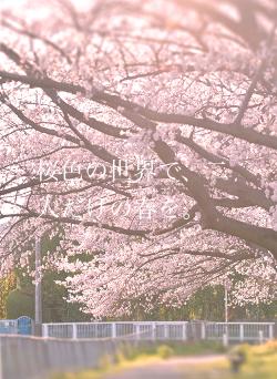 桜色の世界で、二人だけの春を。