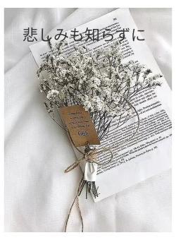 悲しみも知らずに