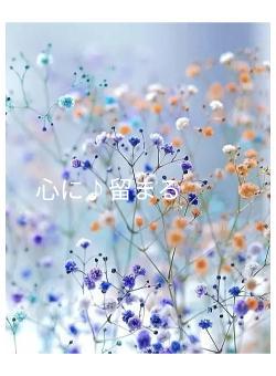 心に♪留まる