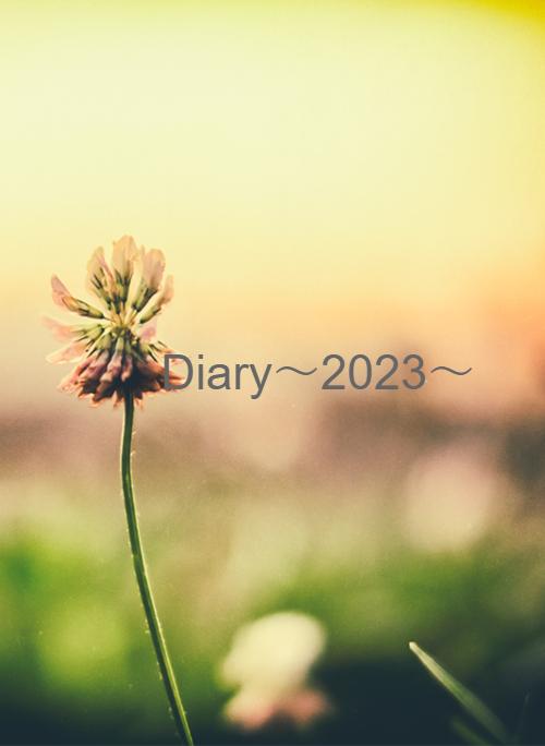 Diary〜2023〜