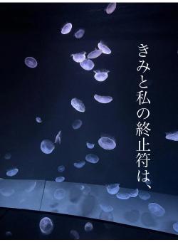 きみと私の終止符は、