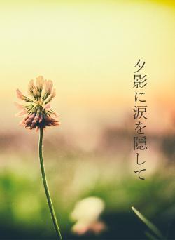 夕影に涙を隠して