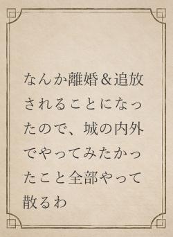 なんか離婚&追放されることになったので、城の内外でやってみたかったこと全部やって散るわ