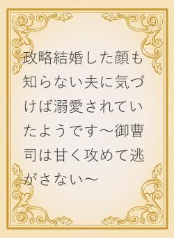政略結婚した顔も知らない夫に気づけば溺愛されていたようです～御曹司は甘く攻めて逃がさない～
