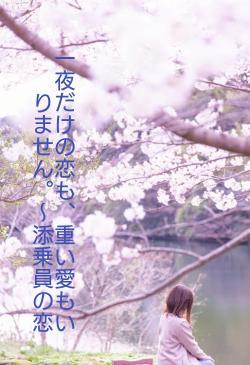 一夜だけの恋も、重い愛もいりません。