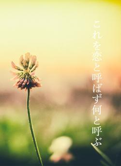 これを恋と呼ばず何と呼ぶ