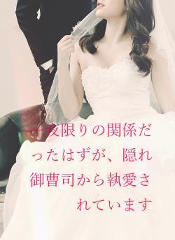 一夜限りの関係だったはずが、隠れ御曹司から執愛されています