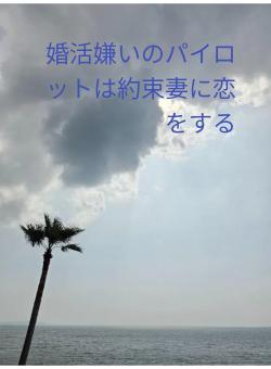 婚活嫌いのパイロットは約束妻に恋をする