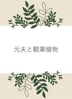 元夫と観葉植物