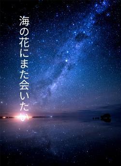 海の花にまた会いたい