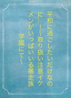 平和に過ごしたいだけなのに…！〜取り扱い注意イケメンがいっぱいいる暴走族学園にて〜