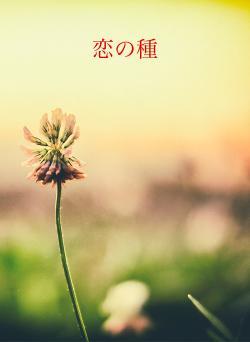恋の種