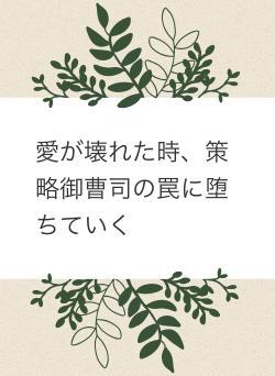 愛が壊れた時、策略御曹司の罠に堕ちていく