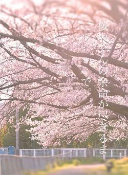 桜坂くんの余命が尽きるまで。