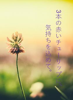 3本の赤いチューリップに、気持ちを込めて。