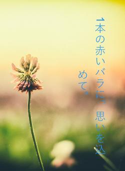 1本の赤いバラに、思いを込めて。