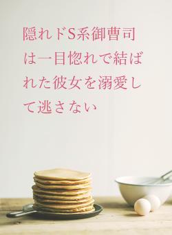 隠れドS系御曹司は一目惚れで結ばれた彼女を溺愛して逃さない