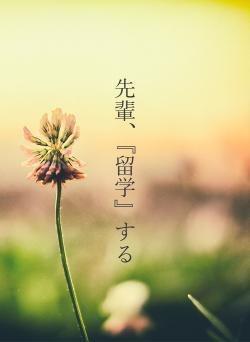 先輩、『留学』する