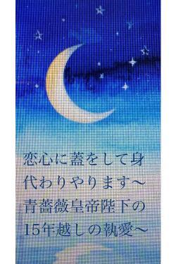 恋心に蓋をして身代わりやります〜青薔薇皇帝陛下の15年越しの執愛〜