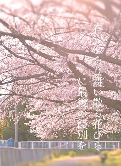 春、ゆらり舞い散る花びらに最後の餞別を