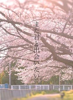 また君と出会いたい