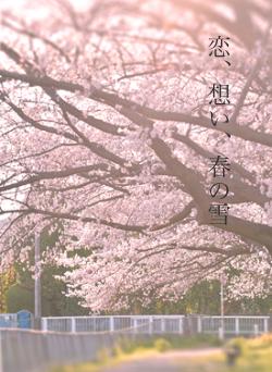 恋、想い、春の雪