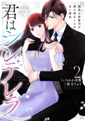 君はシンデレラ～孤高な御曹司が絶え間なく愛を注ぐ理由～