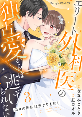 偽りの婚約は蜜よりも甘く～エリート外科医の独占愛からは逃げられない～