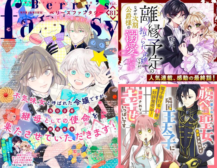 Berry's Fantasy Vol.81