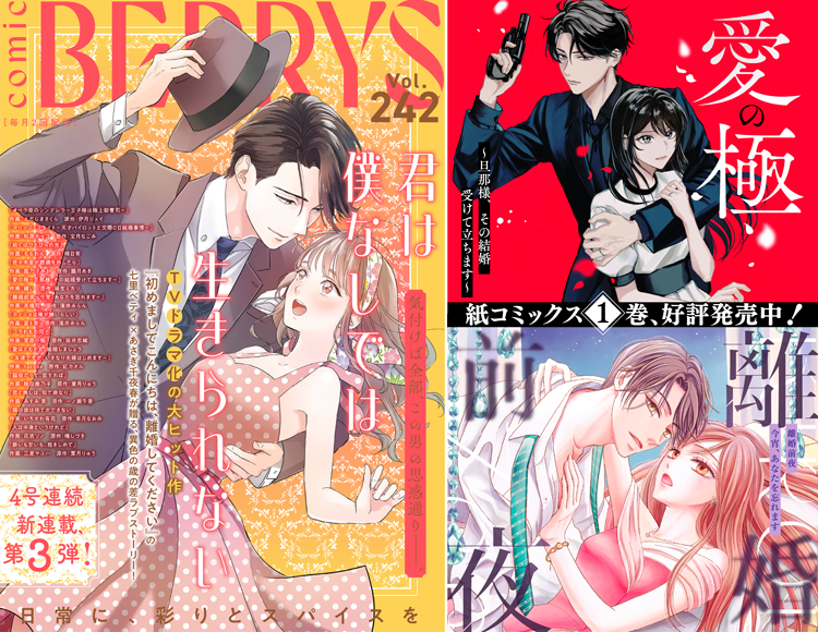 comic Berry's Vol.242