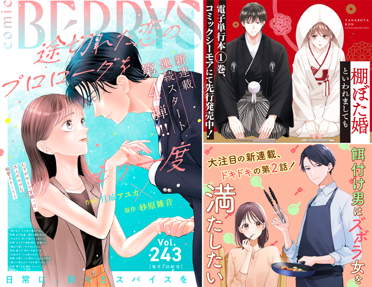 comic Berry's Vol.243