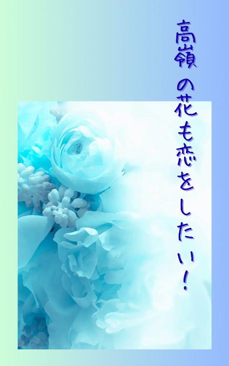 高嶺の花も恋をしたい！