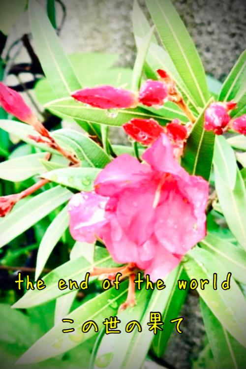 ジ・エンド・オブ・ザ・ワールド　この世の果て