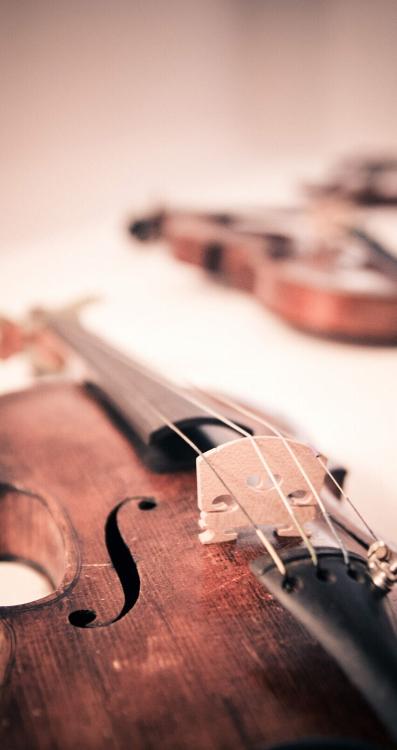 優しい音を奏でて…優音side