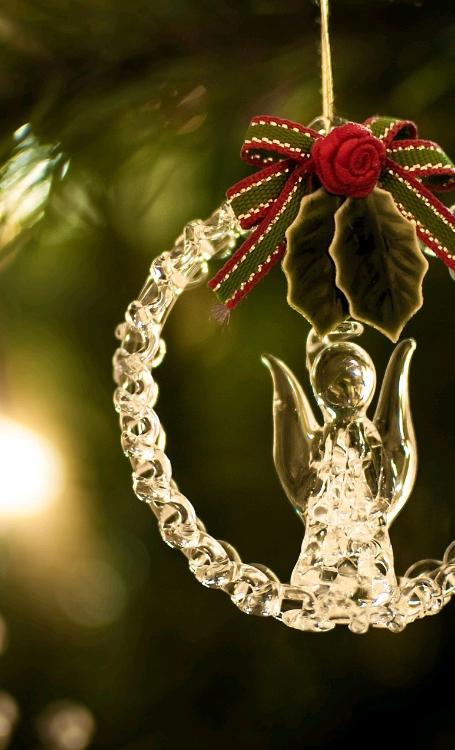 彼女の大切なもの